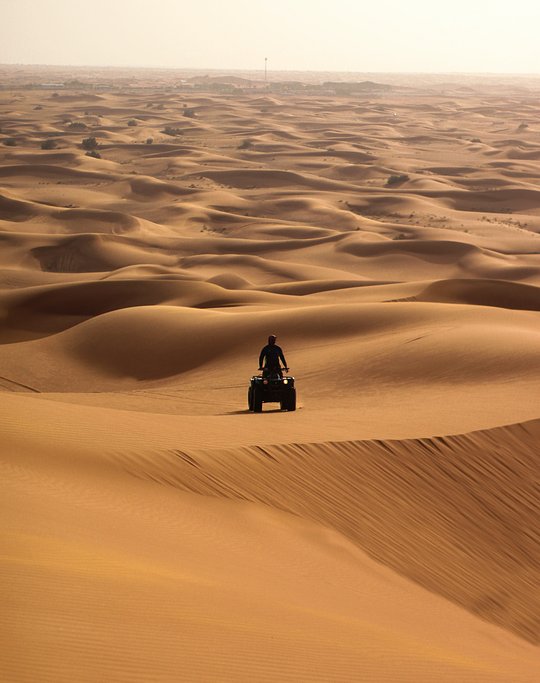 Quad Buggy/ATV